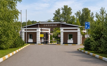 Соловьи